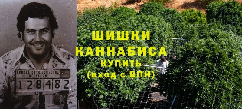 цена   Новоалександровск  Бошки марихуана OG Kush 